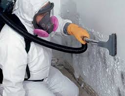 Best Mold Prevention Services  in Oxford, NC